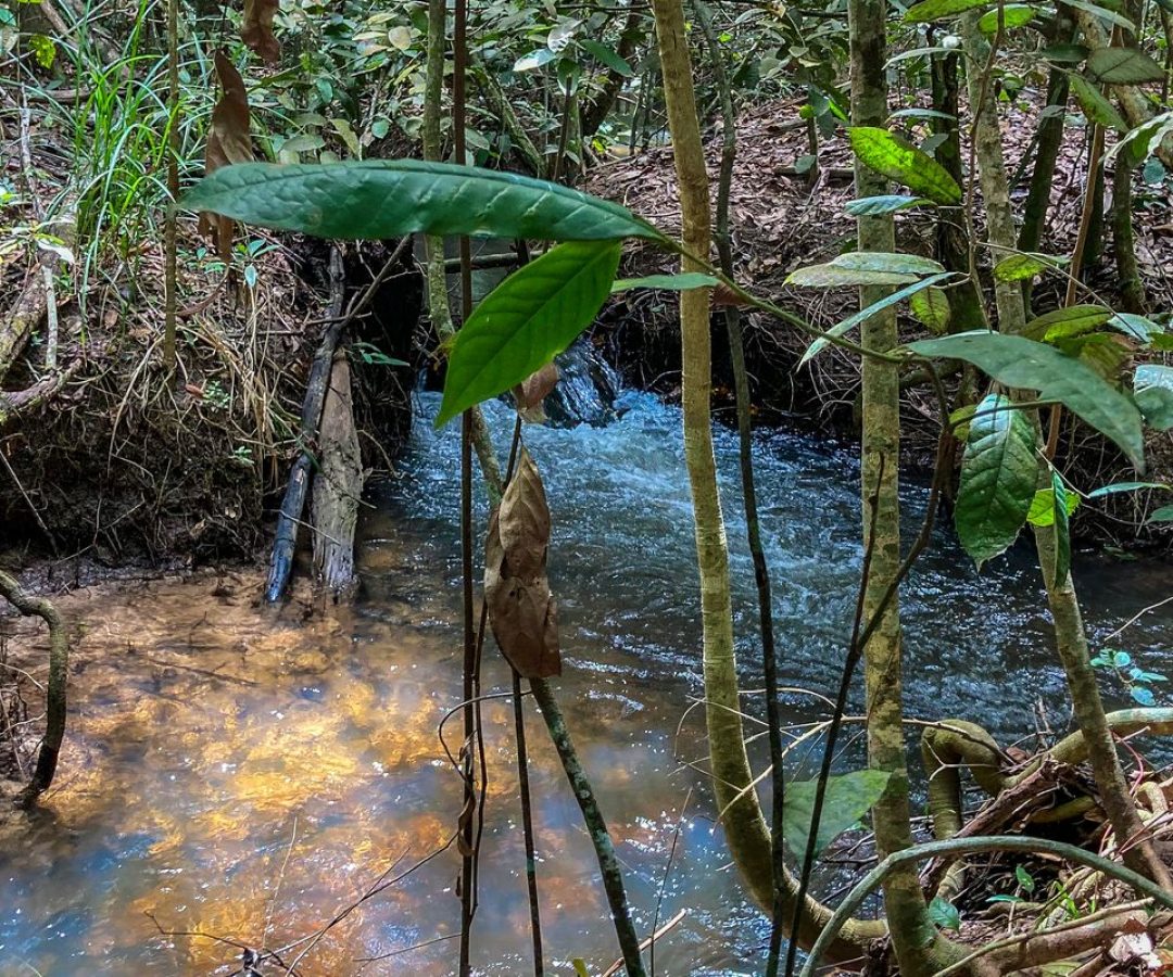 Disponibilidade de água renovável no mundo caiu 7% em 10 anos