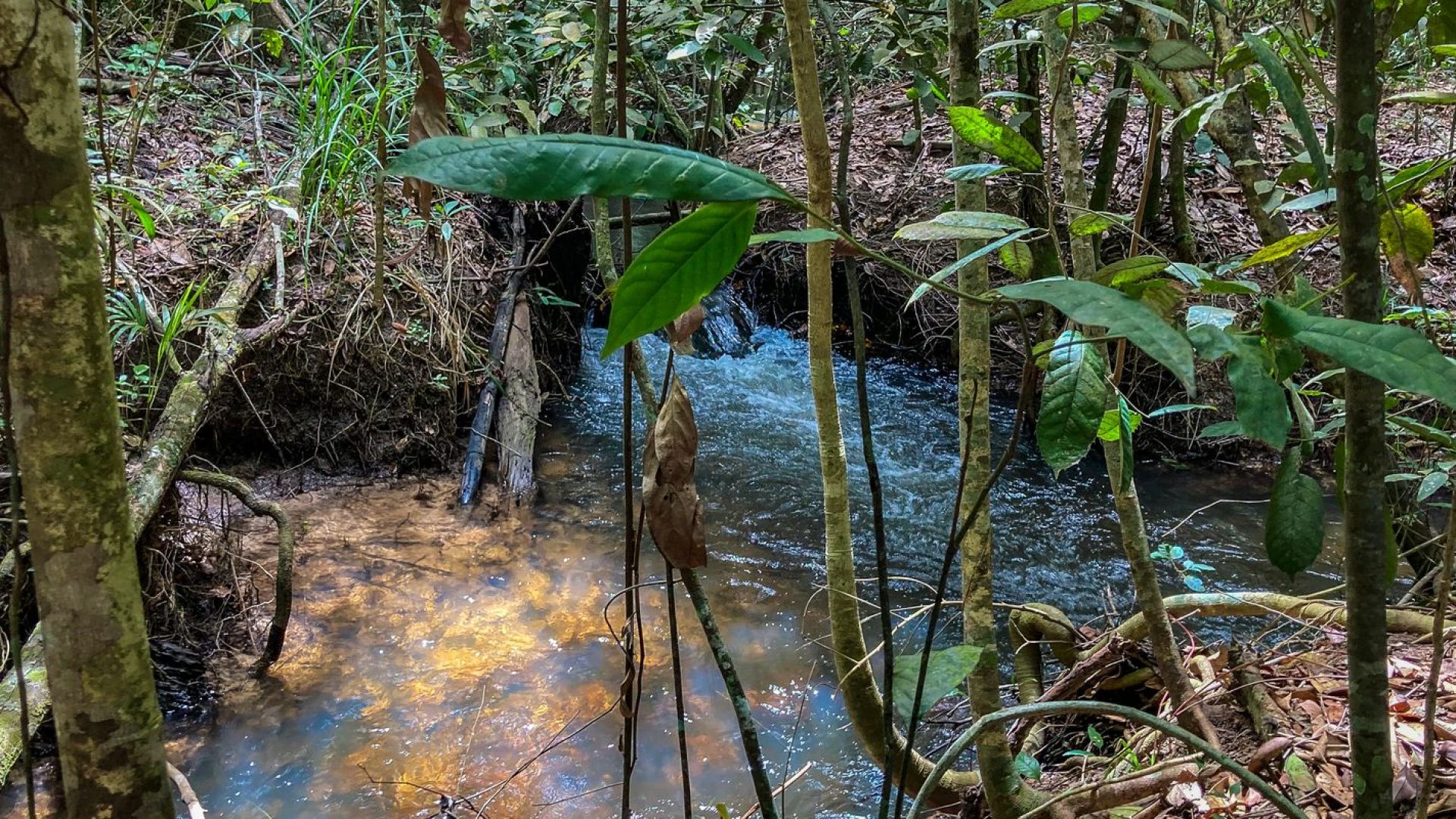 Disponibilidade de água renovável no mundo caiu 7% em 10 anos