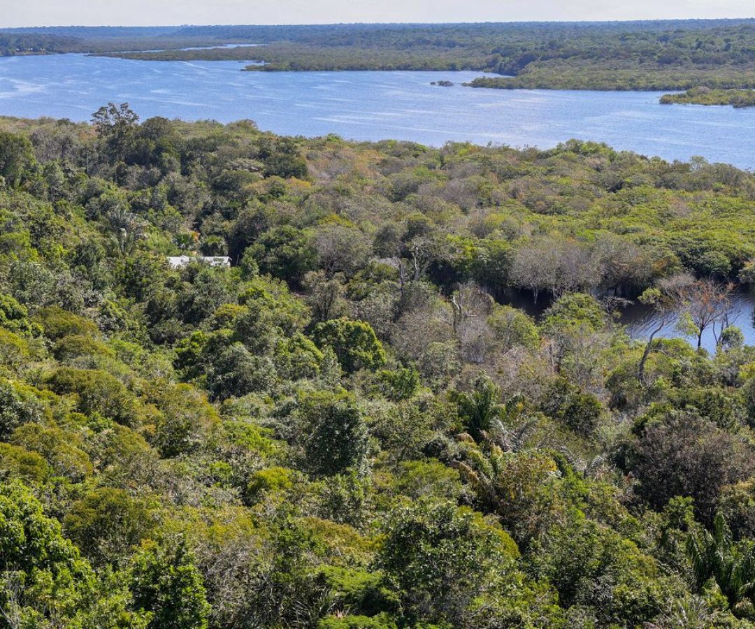 Plano para biodiversidade prevê criação de unidades de conservação
