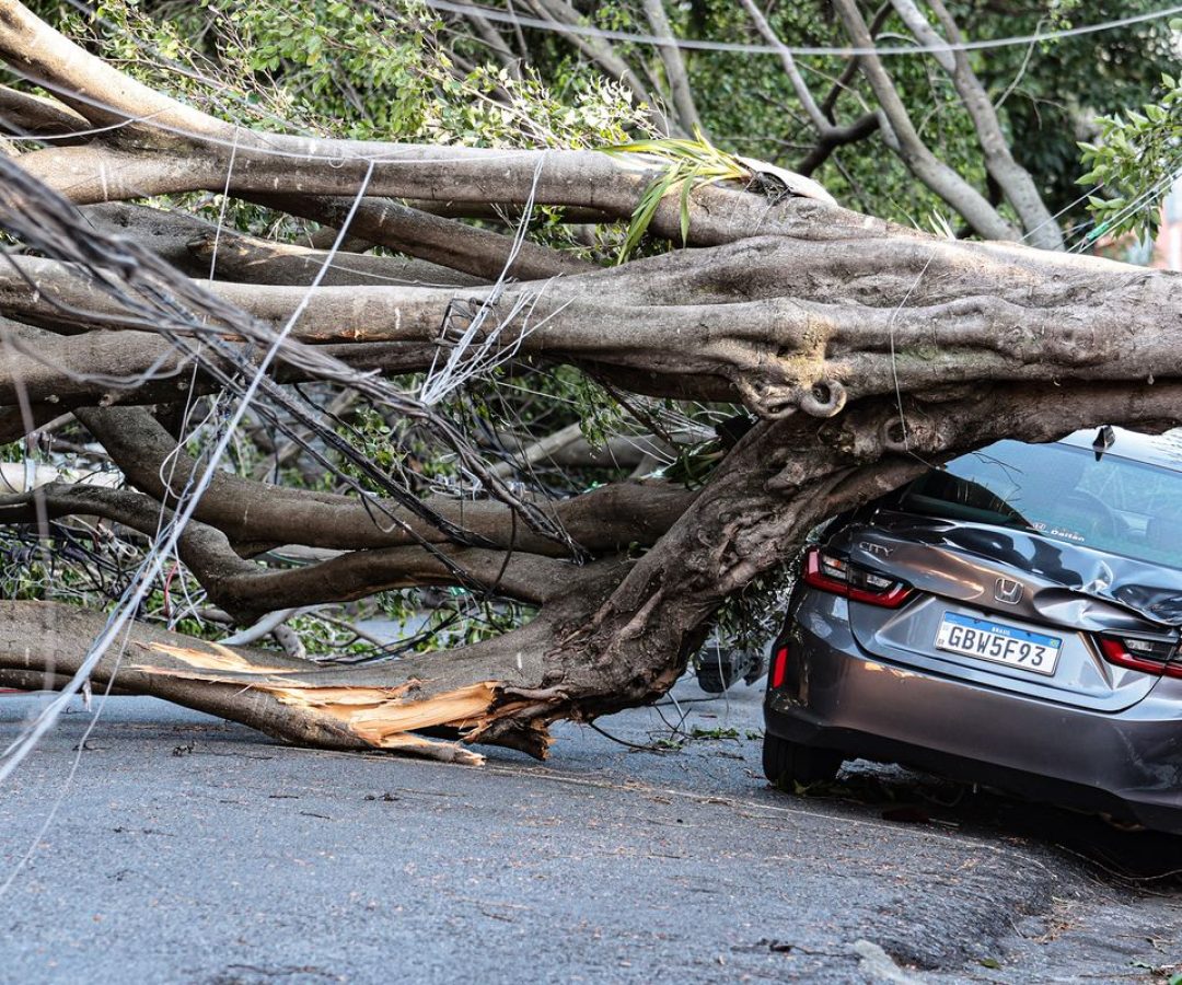 1,5 milhão de imóveis estão sem energia em SP após passagem de ciclone