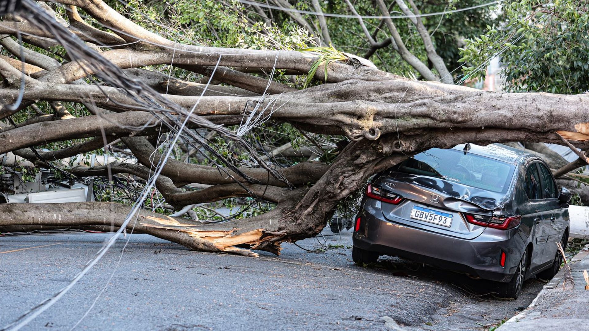 1,5 milhão de imóveis estão sem energia em SP após passagem de ciclone